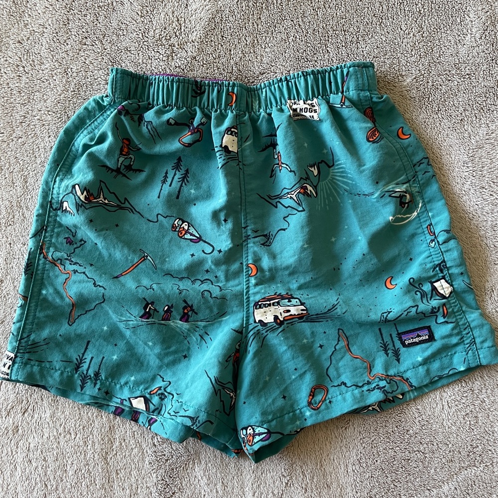 Patagonia Baggies shorts
